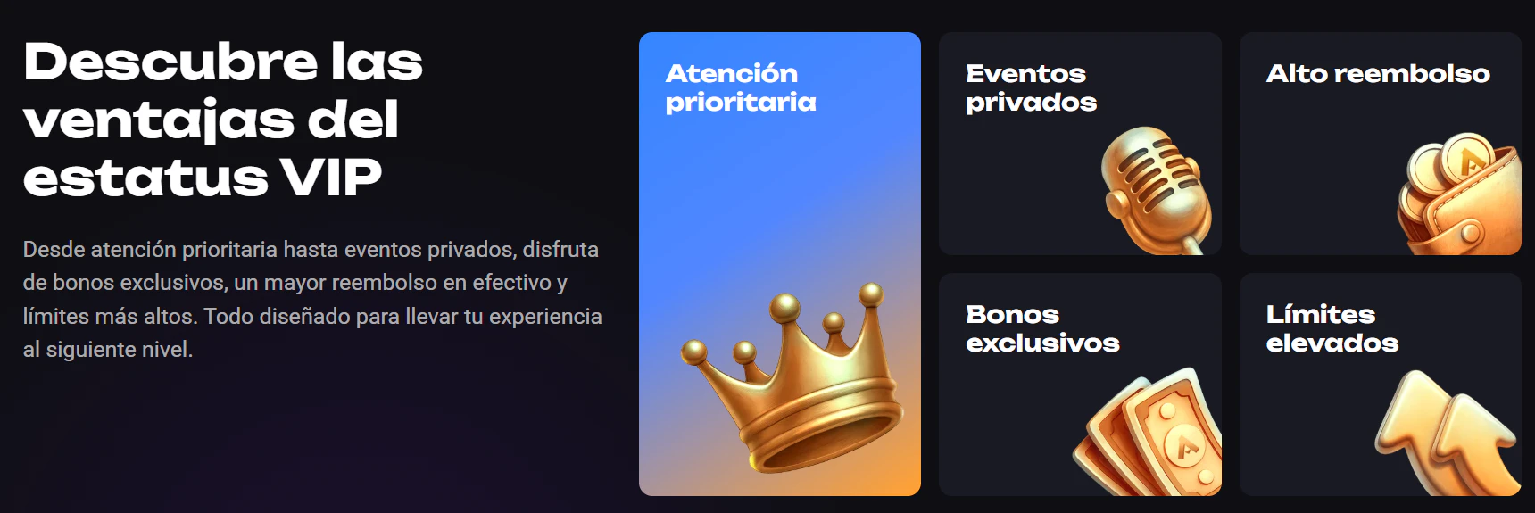 Programa VIP de amonbet